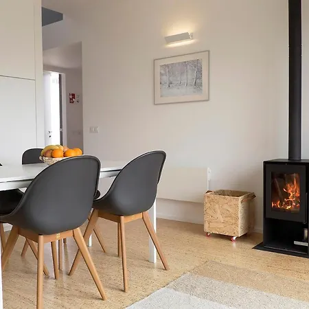 Betula * 布拉干萨