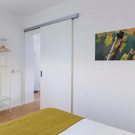 Betula * براغانسا