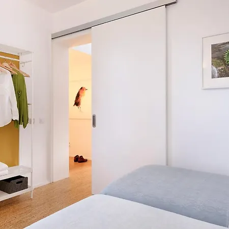 Betula بيت للعطل *