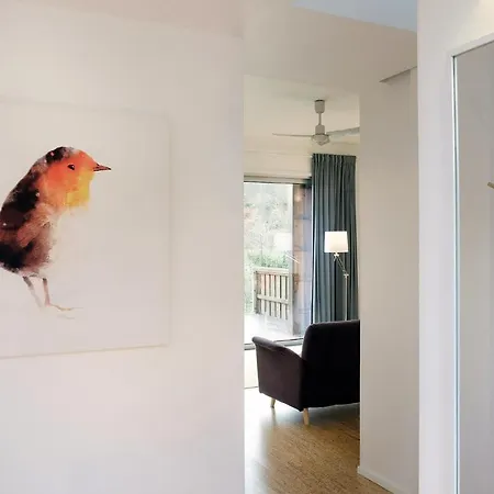 Betula 度假居 布拉干萨